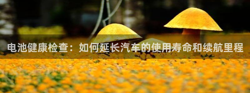 优发国际提现不了