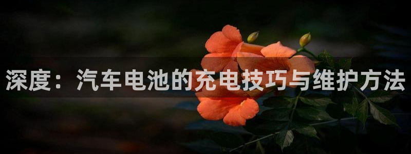 优发国际官网下载安装app：深度：汽车电池的充电技巧与维护方法
