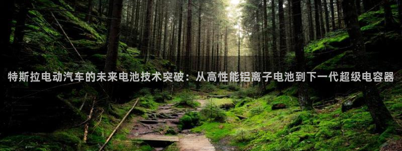 优发国际是什么：特斯拉电动汽车的未来电池技术突破：从高性能铝离子电池到下一代超级电容器