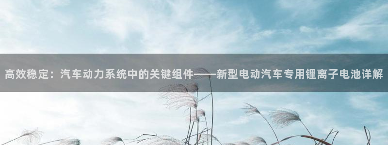 优发国际手机app下载安装苹果：高效稳定：汽车动力系统中的关键组件——新型电动汽车专用锂离子电池详解