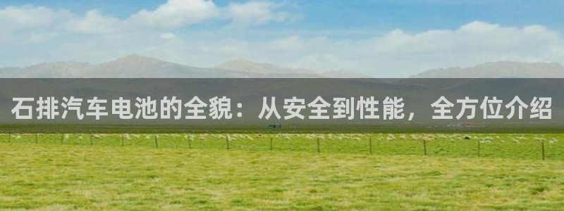 优发国际官方网：石排汽车电池的全貌：从安全到性能，全方位介绍