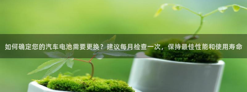 优发国际的官网是：如何确定您的汽车电池需要更换？建议每月检查一次，保持最佳性能和使用寿命