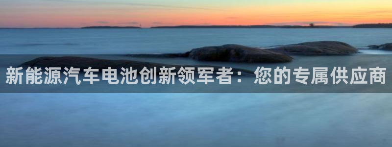 优发国际手机版客户端：新能源汽车电池创新领军者：您的专属供应商