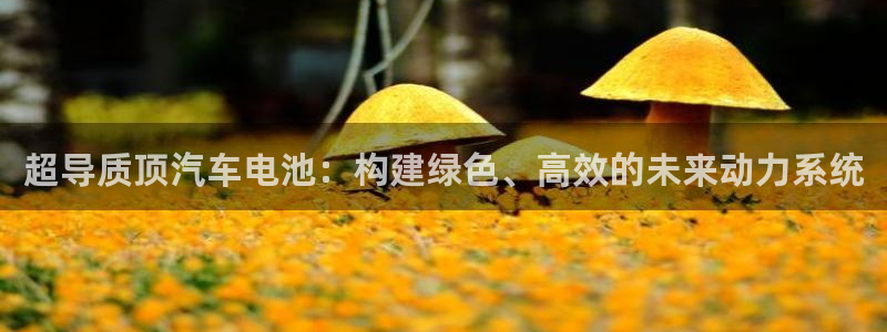 优发国际是真的吗：超导质顶汽车电池：构建绿色、高效的未来动力系统