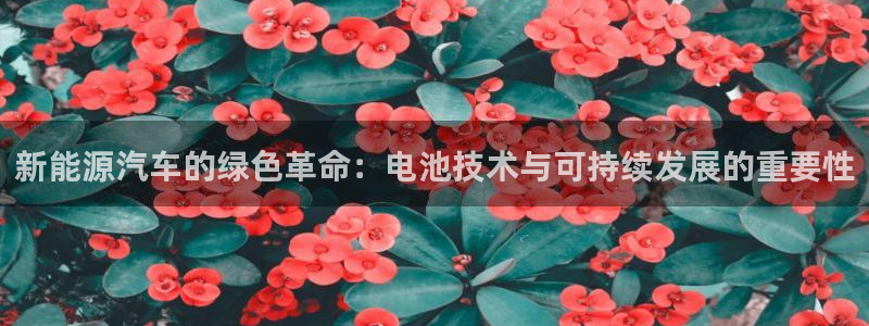 优发国际手机客户端下载官网：新能源汽车的绿色革命：电池技术与可持续发展的重要性