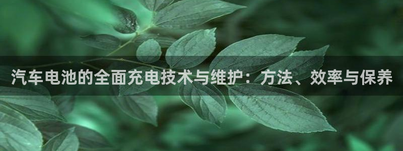 优发国际官网下载：汽车电池的全面充电技术与维护：方法、效率与保养