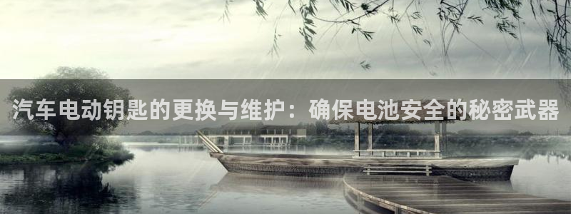 优发国际下载：汽车电动钥匙的更换与维护：确保电池安全的秘密武器