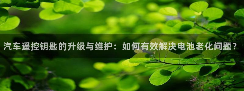 优发国际手机登录下载安装苹果：汽车遥控钥匙的升级与维护：如何有效解决电池老化问题？