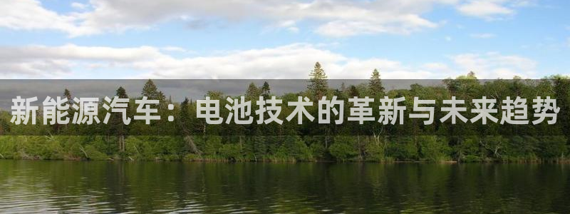 优发国际平台18岁能做吗：新能源汽车：电池技术的革新与未来趋势