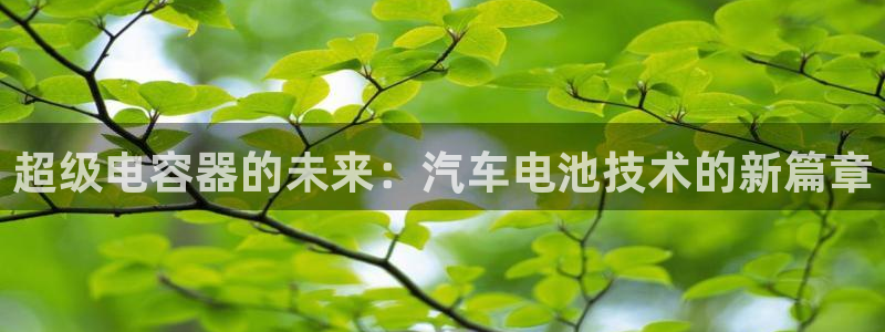 优发国际集团股份有限公司是国企吗：超级电容器的未来：汽车电池技术的新篇章