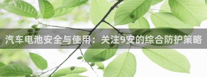 优发国际免费游戏下载：汽车电池安全与使用：关注9安的综合防护策略