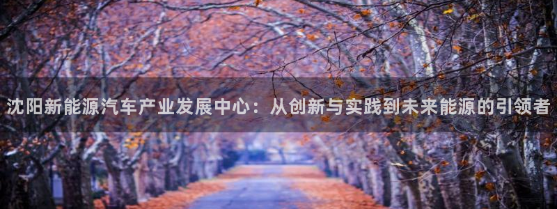 优发国际是真的吗：沈阳新能源汽车产业发展中心：从创新与实践到未来能源的引领者
