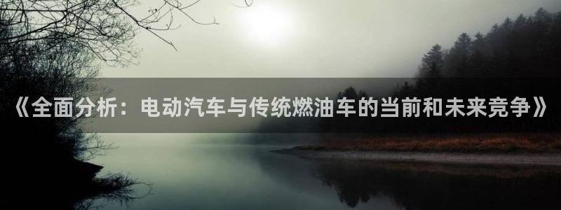 优发国际客服联系方式是什么：《全面分析：电动汽车与传统燃油车的当前和未来竞争》
