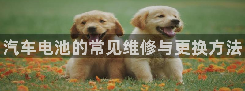 优发国际网官网址是多少：汽车电池的常见维修与更换方法