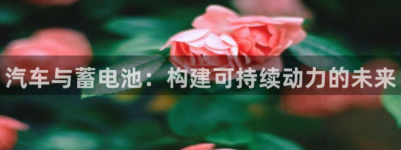 优发国际平台18岁能做吗：汽车与蓄电池：