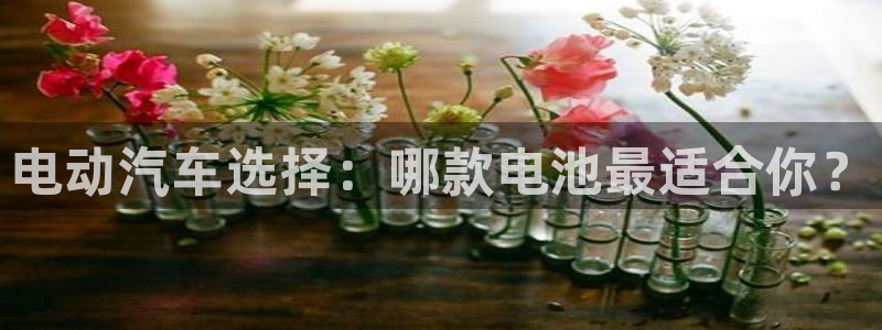 优发国际vip网址：电动汽车选择：哪款电
