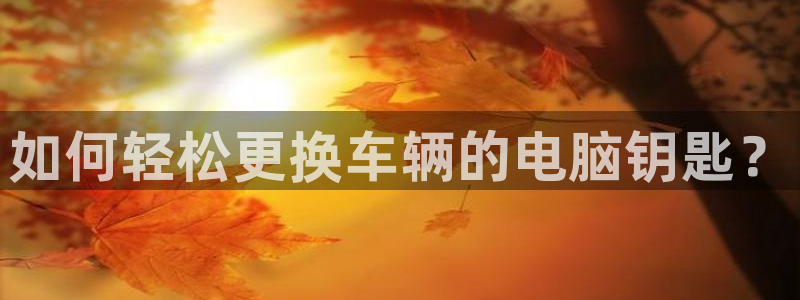优发国际手机客户端下载：如何轻松更换车辆