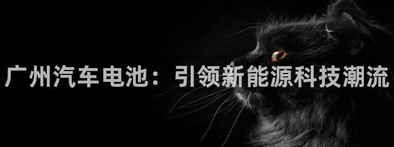 优发国际手机客户端：广州汽车电池：引领新能源科技潮流