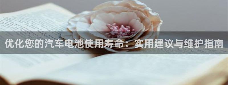 优发国际手机版网站入口