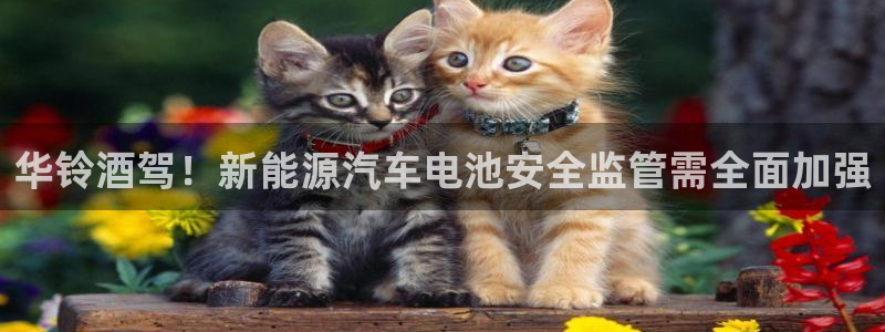 优发国际官方网平台登录