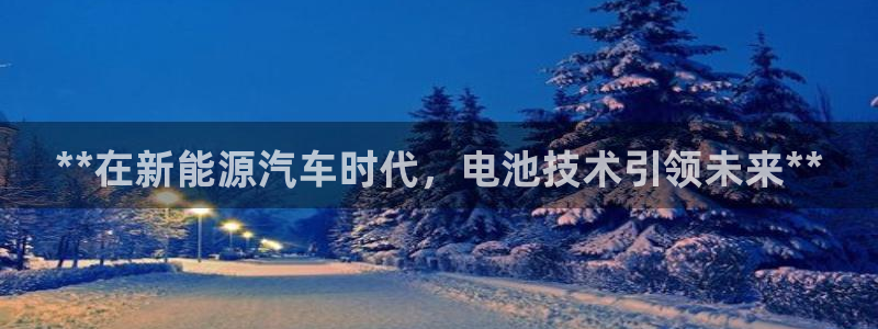 优发国际官网手机版下载：**在新能源汽车时代，电池技术引领未来**