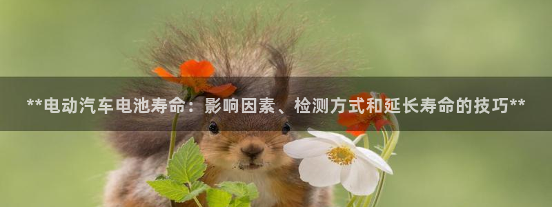 优发国际官网手机号