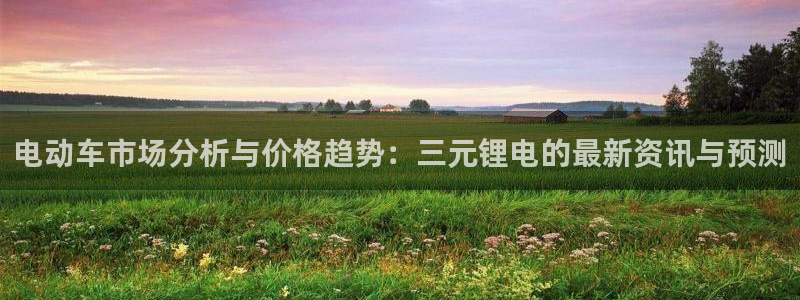 优发国际集团股份有限公司是国企吗：电动车市场分析与价格趋势：三元锂电的最新资讯与预测
