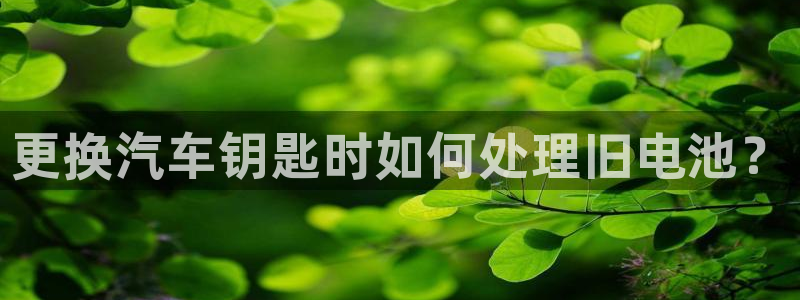 优发国际合并到哪里了最新消息：更换汽车钥匙时如何处理旧电池？