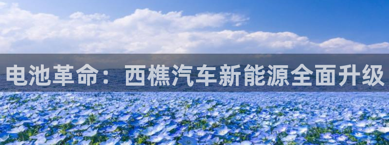 优发国际网官网17q8：电池革命：西樵汽车新能源全面升级