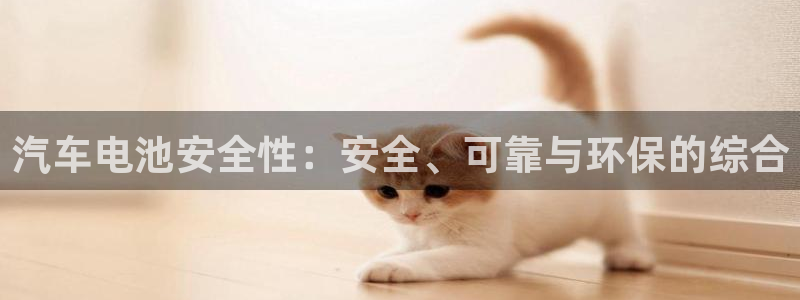 优发国际注册平台：汽车电池安全性：安全、可靠与环保的综合