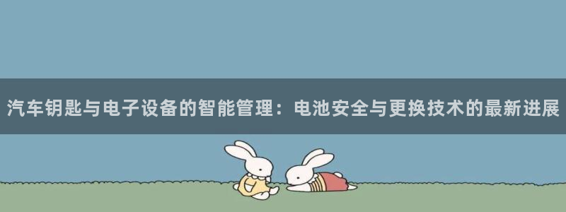 优发国际官网手机号：汽车钥匙与电子设备的智能管理：电池安全与更换技术的最新进展