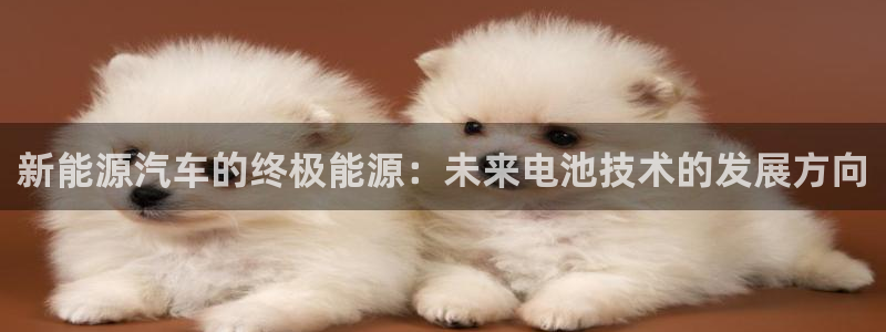 优发国际平台u8是什么：新能源汽车的终极能源：未来电池技术的发展方向